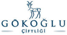 Gökoğlu Çiftliği - Saanen Keçi